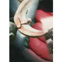 Trading Card - Kamen Rider V3