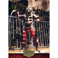 Trading Card - Kamen Rider