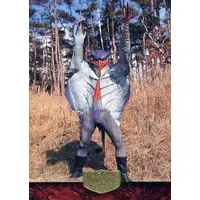 Trading Card - Kamen Rider