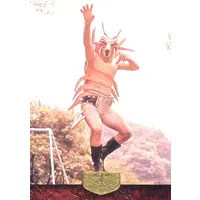 Trading Card - Kamen Rider / Mukadelas