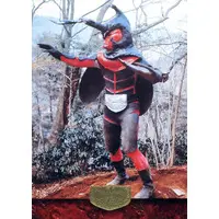 Trading Card - Kamen Rider