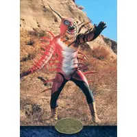 Trading Card - Kamen Rider