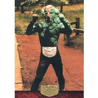 Trading Card - Kamen Rider