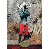 Trading Card - Kamen Rider