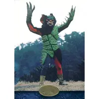 Trading Card - Kamen Rider