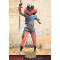 Trading Card - Kamen Rider