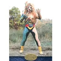 Trading Card - Kamen Rider