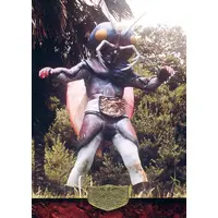 Trading Card - Kamen Rider