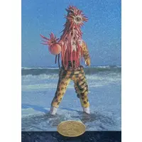 Trading Card - Kamen Rider