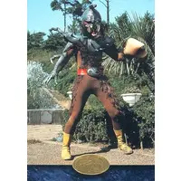 Trading Card - Kamen Rider / Ino Kabuton