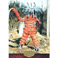 Trading Card - Kamen Rider / Isoguinchack