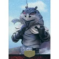 Trading Card - Kamen Rider / Zanjioh