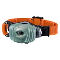 COMPLETE SELECTION MODIFICATION Ghost Driver