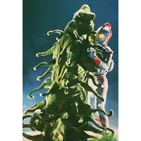 Trading Card - Ultraman 80