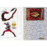 Acrylic stand - Kamen Rider Ryuki / Kamen Rider Ryuki (Character)