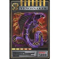 Trading Card - Kamen Rider Ryuki