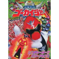 Book - Kaizoku Sentai Gokaiger