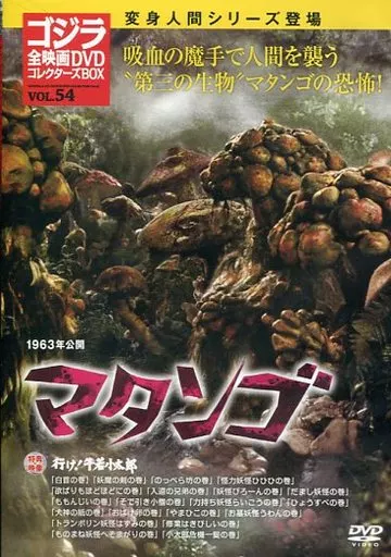 DVD - Godzilla