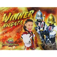 Tapestry - No.1 Sentai Gozyuger / Fire Candle