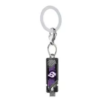 Key Chain (スカルメモリ 「仮面ライダーシリーズ めじるしアクセサリー4」)