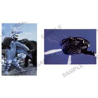 Postcard - Gamera Super Monster
