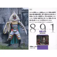 Calbee Kamen Rider Chips (891：暗闇大使)