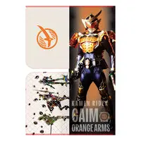 Plastic Folder - Kamen Rider Gaim