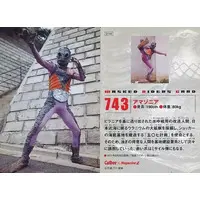 Calbee Kamen Rider Chips - Kamen Rider