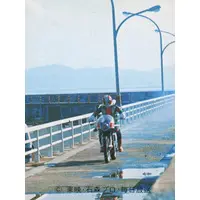 Trading Card - Kamen Rider V3 / Kamen Rider V3 (Character)