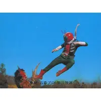Trading Card - Kamen Rider V3 / Kamen Rider V3 (Character)