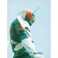 Trading Card - Kamen Rider V3 / Kamen Rider V3 (Character)