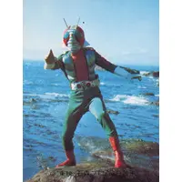 Trading Card - Kamen Rider V3 / Kamen Rider V3 (Character)