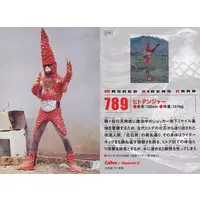Calbee Kamen Rider Chips - Kamen Rider / Hitodanger