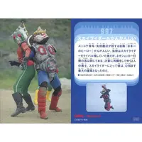 Calbee Kamen Rider Chips - Kamen Rider (Skyrider) / Skyrider (Character)