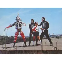 Trading Card - Kamen Rider