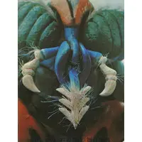 Trading Card - Kamen Rider