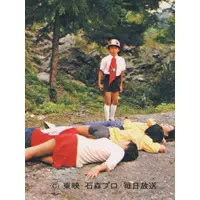 Trading Card - Kamen Rider