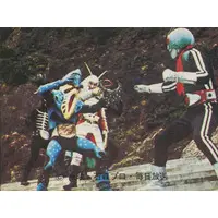 Trading Card - Kamen Rider / Siomaneking