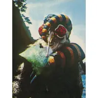 Trading Card - Kamen Rider