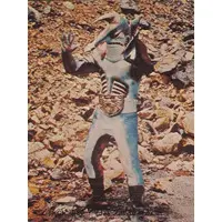 Trading Card - Kamen Rider