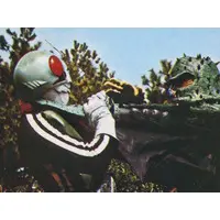 Trading Card - Kamen Rider / Ganikoumoru