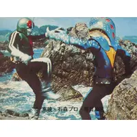 Trading Card - Kamen Rider / Siomaneking