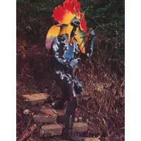 Trading Card - Kamen Rider