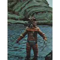 Trading Card - Kamen Rider / Worm Man