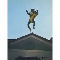 Trading Card - Kamen Rider