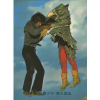 Trading Card - Kamen Rider