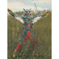 Trading Card - Kamen Rider
