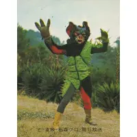 Trading Card - Kamen Rider