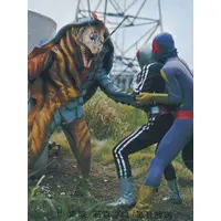 Trading Card - Kamen Rider
