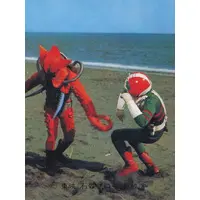 Trading Card - Kamen Rider V3 / Kamen Rider V3 (Character)